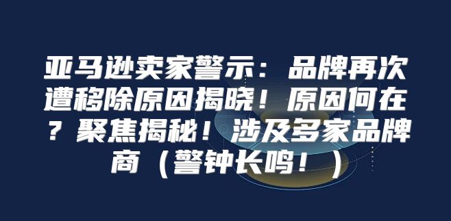 亚马逊卖家警示：品牌再次遭移除原因揭晓！原因何在？聚焦揭秘！涉及多家品牌商警钟长鸣！