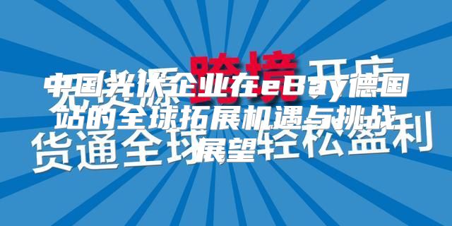 中国光伏企业在eBay德国站的全球拓展机遇与挑战展望