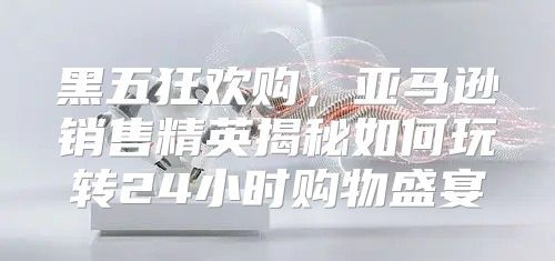 黑五狂欢购，亚马逊销售精英揭秘如何玩转24小时购物盛宴
