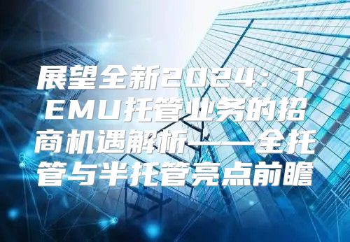 展望全新2025TEMU托管业务的招商机遇解析——全托管与半托管亮点前瞻