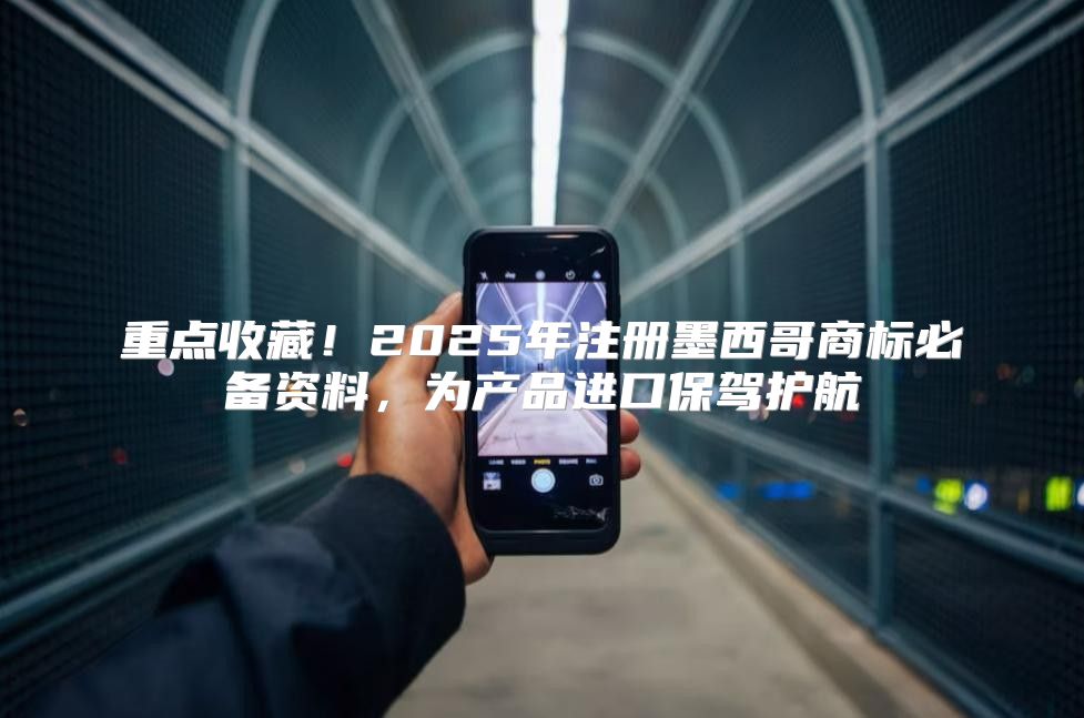 重点收藏！2025年注册墨西哥商标必备资料，为产品进口保驾护航