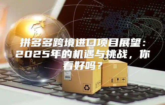 拼多多跨境进口项目展望：2025年的机遇与挑战，你看好吗？