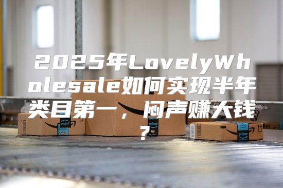 2025年LovelyWholesale如何实现半年类目第一，闷声赚大钱？