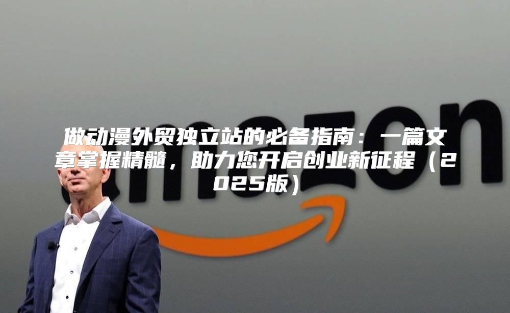 做动漫外贸独立站的必备指南：一篇文章掌握精髓，助力您开启创业新征程2025版