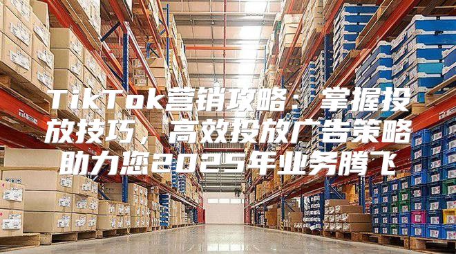 TikTok营销攻略：掌握投放技巧，高效投放广告策略助力您2025年业务腾飞