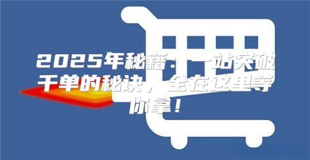 2025年秘籍：一站突破千单的秘诀，全在这里等你拿！