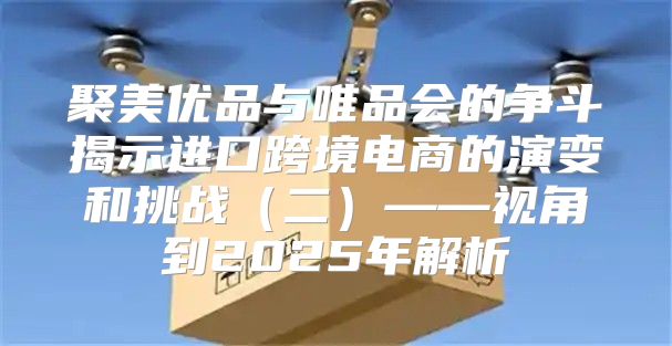 聚美优品与唯品会的争斗揭示进口跨境电商的演变和挑战二——视角到2025年解析