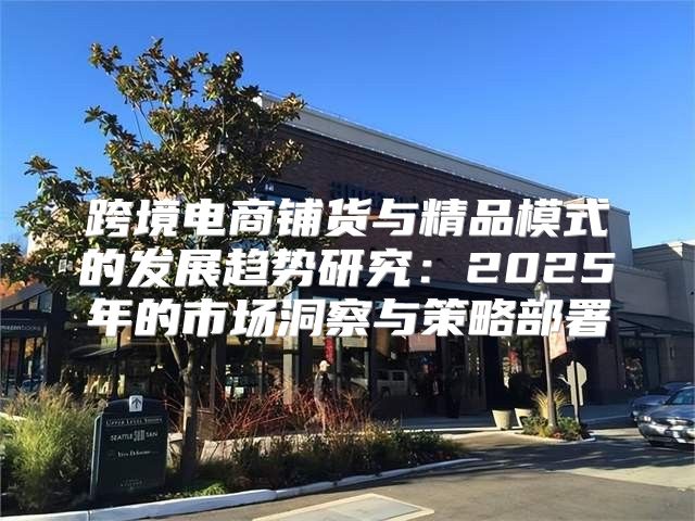 跨境电商铺货与精品模式的发展趋势研究：2025年的市场洞察与策略部署