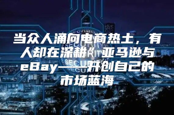 当众人涌向电商热土，有人却在深耕”亚马逊与eBay——开创自己的市场蓝海