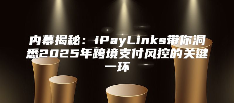 内幕揭秘：iPayLinks带你洞悉2025年跨境支付风控的关键一环