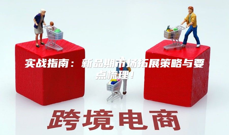 实战指南：新品期市场拓展策略与要点梳理！