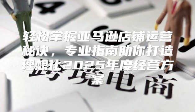 轻松掌握亚马逊店铺运营秘诀，专业指南助你打造理想化2025年度经营方案