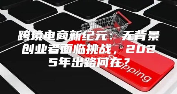 跨境电商新纪元：无背景创业者面临挑战，2025年出路何在？