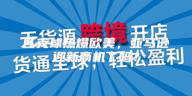 匹克球热爆欧美，亚马逊迎新商机了吗？