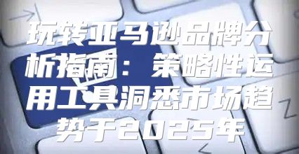 玩转亚马逊品牌分析指南：策略性运用工具洞悉市场趋势于2025年
