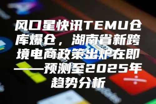 风口星快讯TEMU仓库爆仓，湖南省新跨境电商政策出炉在即——预测至2025年趋势分析