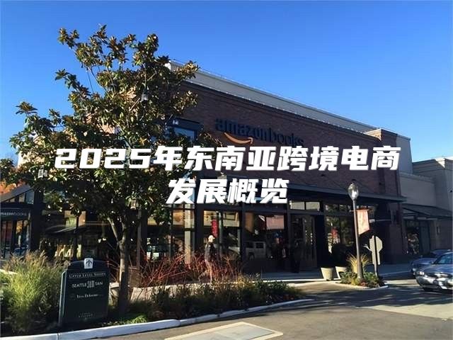 2025年东南亚跨境电商发展概览