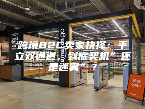 跨境B2C卖家抉择：平立双通道，到底契机”还是迷雾”？