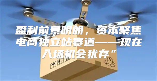 盈利前景明朗，资本聚焦电商独立站赛道——现在入场机会犹存”