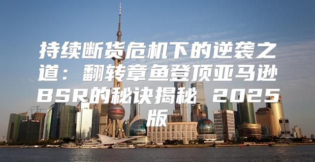 持续断货危机下的逆袭之道：翻转章鱼登顶亚马逊BSR的秘诀揭秘 2025版