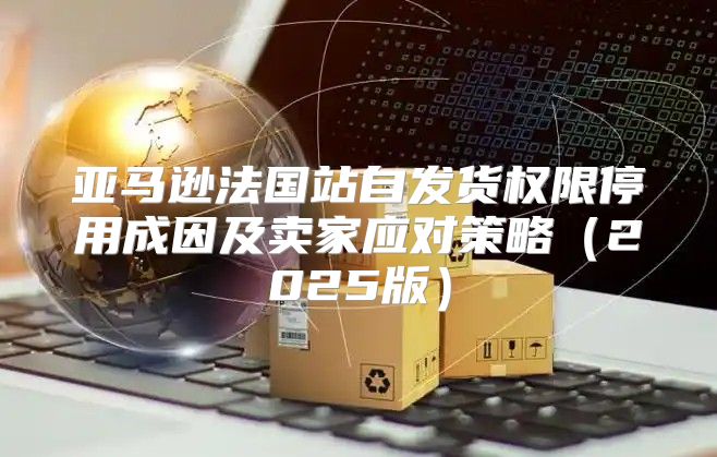亚马逊法国站自发货权限停用成因及卖家应对策略2025版