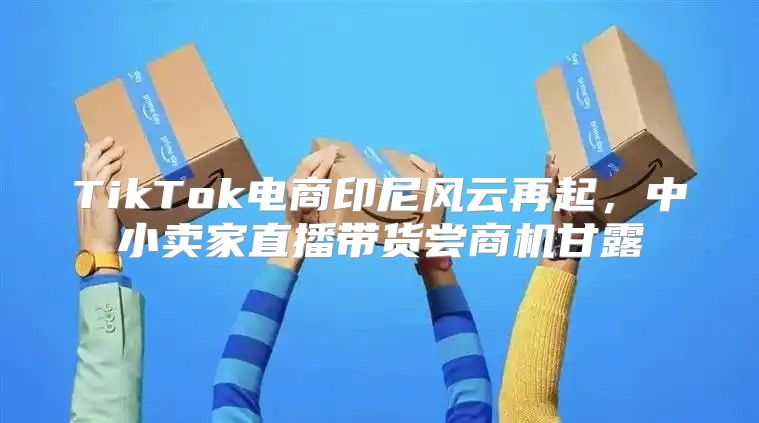 TikTok电商印尼风云再起，中小卖家直播带货尝商机甘露