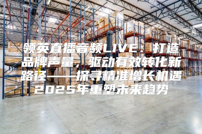 领英直播音频LIVE：打造品牌声量，驱动有效转化新路径——探寻精准增长机遇2025年重塑未来趋势