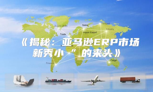 揭秘：亚马逊ERP市场新秀小佈”的来头