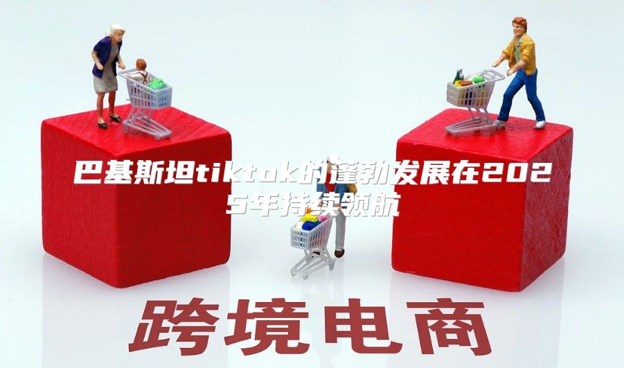 巴基斯坦tiktok的蓬勃发展在2025年持续领航