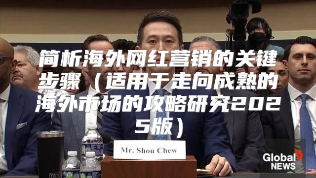 简析海外网红营销的关键步骤适用于走向成熟的海外市场的攻略研究2025版