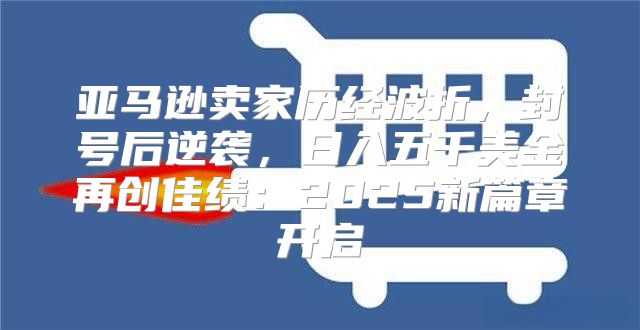 亚马逊卖家历经波折，封号后逆袭，日入五千美金再创佳绩：2025新篇章开启