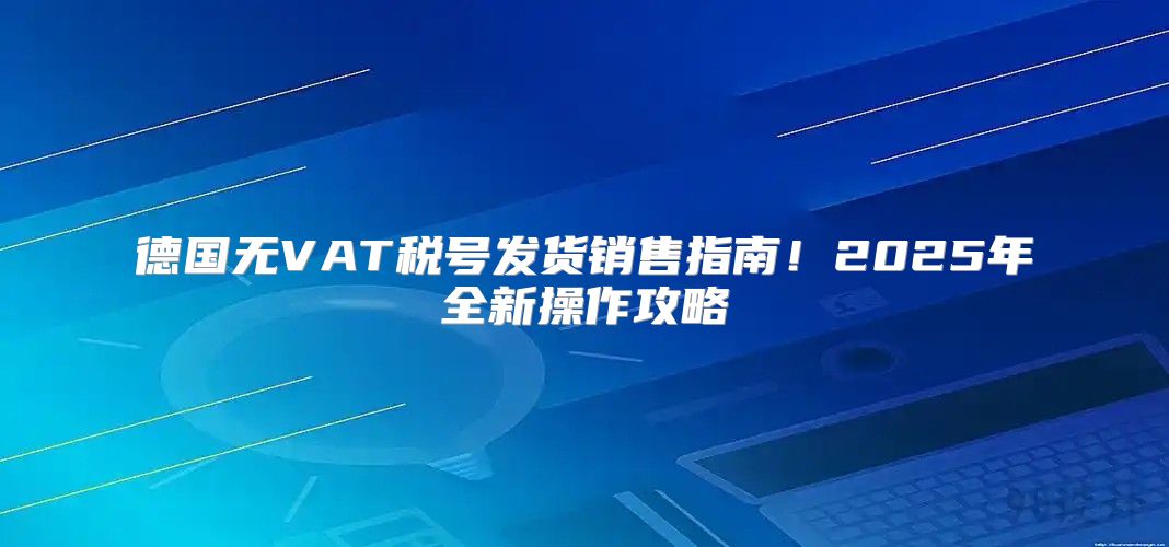 德国无VAT税号发货销售指南！2025年全新操作攻略