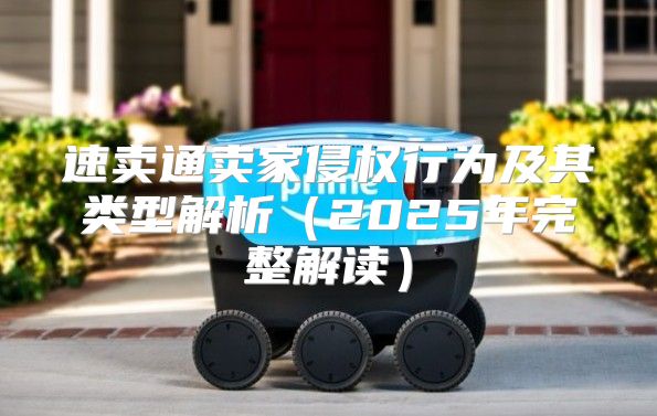 速卖通卖家侵权行为及其类型解析2025年完整解读