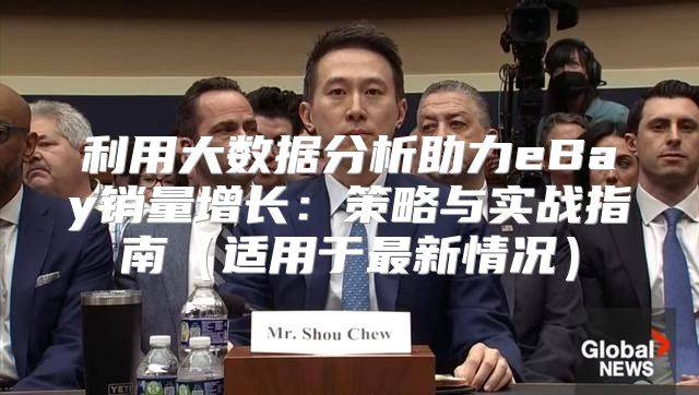利用大数据分析助力eBay销量增长：策略与实战指南适用于最新情况