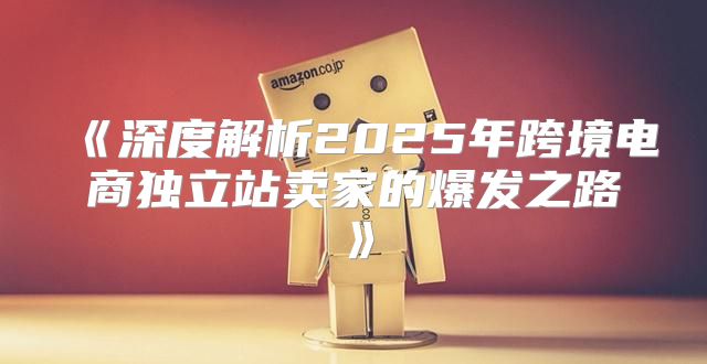 深度解析2025年跨境电商独立站卖家的爆发之路