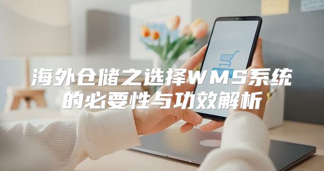 海外仓储之选择WMS系统的必要性与功效解析