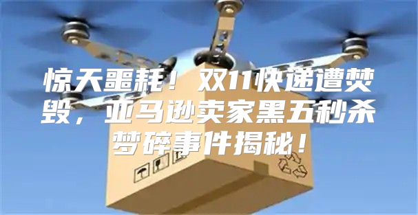 惊天噩耗！双11快递遭焚毁，亚马逊卖家黑五秒杀梦碎事件揭秘！