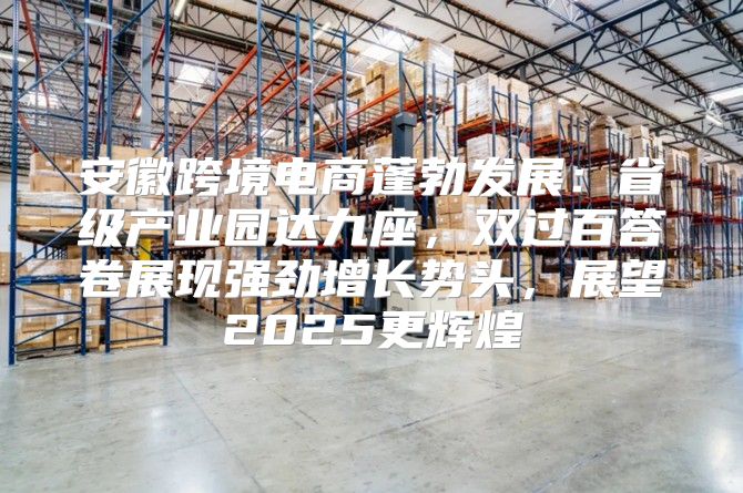 安徽跨境电商蓬勃发展：省级产业园达九座，双过百答卷展现强劲增长势头，展望2025更辉煌