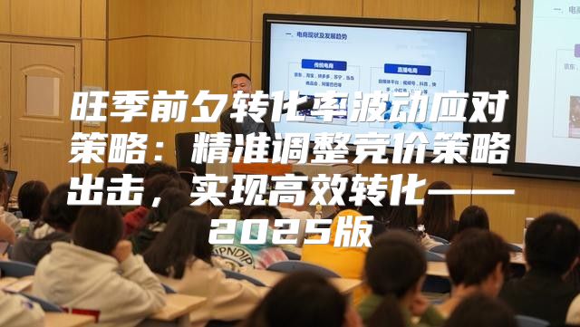 旺季前夕转化率波动应对策略：精准调整竞价策略出击，实现高效转化——2025版