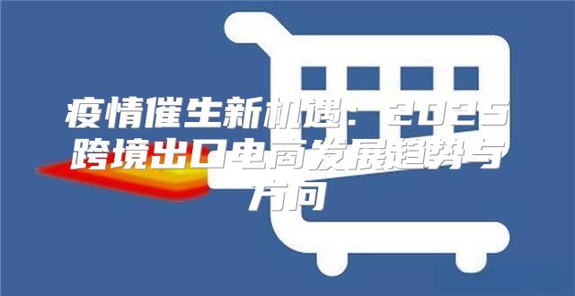 疫情催生新机遇：2025跨境出口电商发展趋势与方向