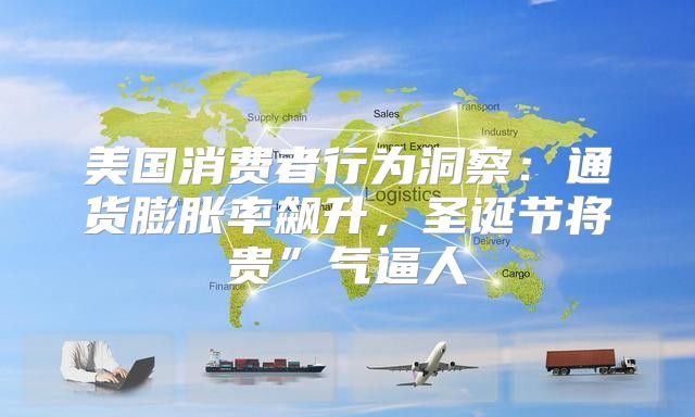 美国消费者行为洞察：通货膨胀率飙升，圣诞节将贵”气逼人