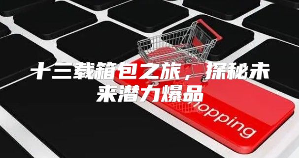 十三载箱包之旅，探秘未来潜力爆品