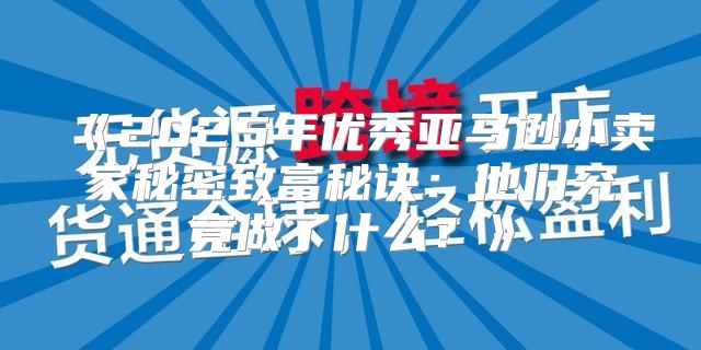 2025年优秀亚马逊小卖家秘密致富秘诀：他们究竟做了什么？