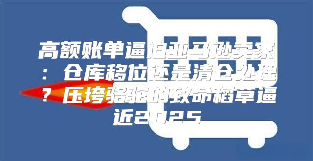 高额账单逼迫亚马逊卖家：仓库移位还是清仓处理？压垮骆驼的致命稻草逼近2025