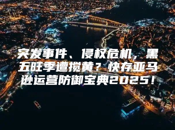 突发事件、侵权危机，黑五旺季遭搅黄？快存亚马逊运营防御宝典2025！