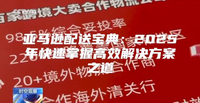 亚马逊配送宝典：2025年快速掌握高效解决方案之道