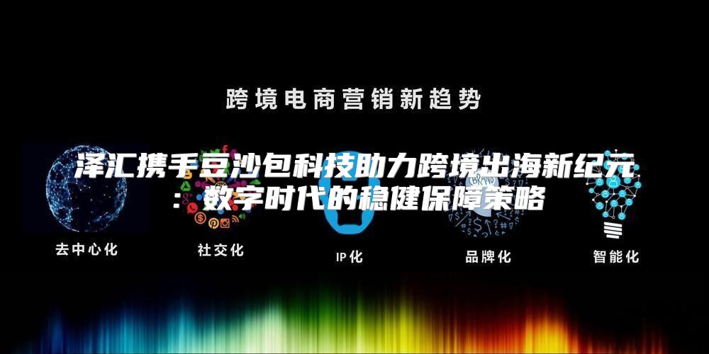 泽汇携手豆沙包科技助力跨境出海新纪元：数字时代的稳健保障策略