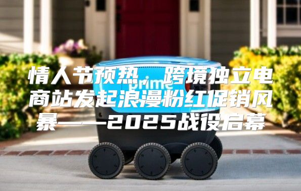 情人节预热，跨境独立电商站发起浪漫粉红促销风暴——2025战役启幕