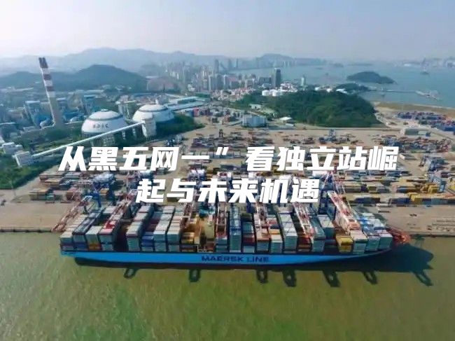 从黑五网一”看独立站崛起与未来机遇
