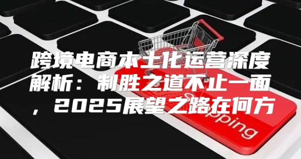 跨境电商本土化运营深度解析：制胜之道不止一面，2025展望之路在何方